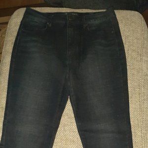 Francesca's jeans. NWOT Dark fitted jeans.